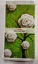 Picture of Oddy Spiral Ruled Notebook 12 X 21.4 cm - 40 Pages