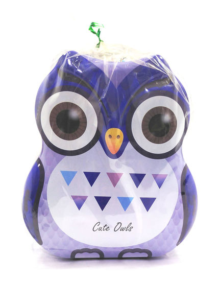 Picture of Cute Owl Piggy Bank - Violet