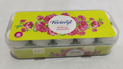 Picture of Fevicryl Acrylic  colour - 10 shades- Kit